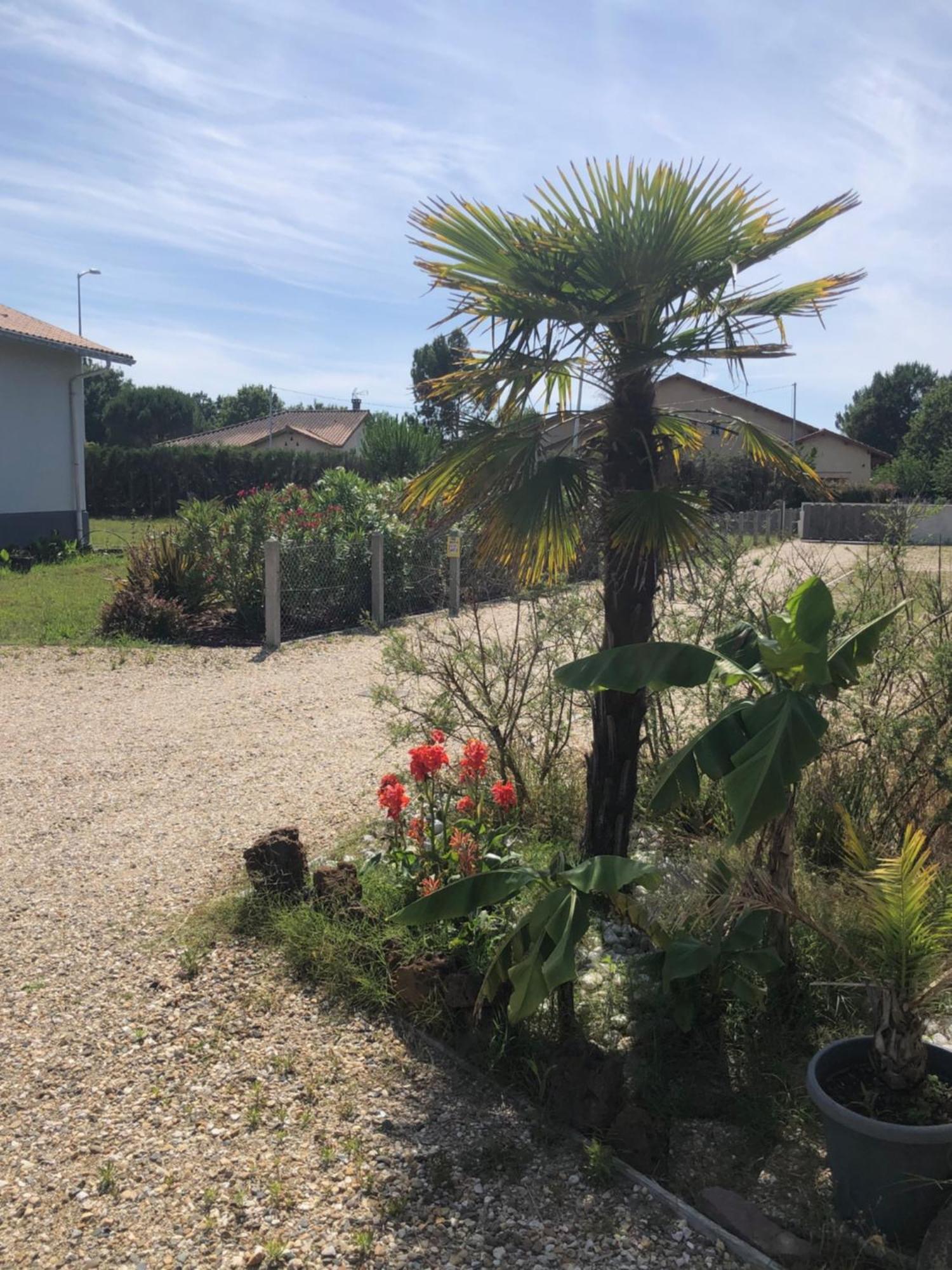 "Les Logis D'Argent" Chambre D'Hote Avec Wc, Sdb, Tv, Wifi, Option Petit Dejeuner , Parking ميميزا بلاج المظهر الخارجي الصورة